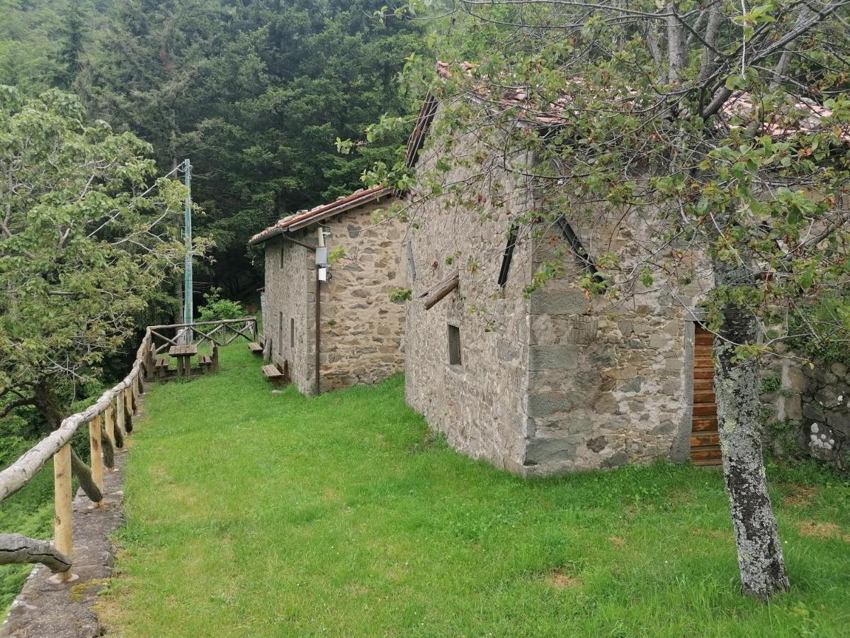 Parco Colle Fobia Barga