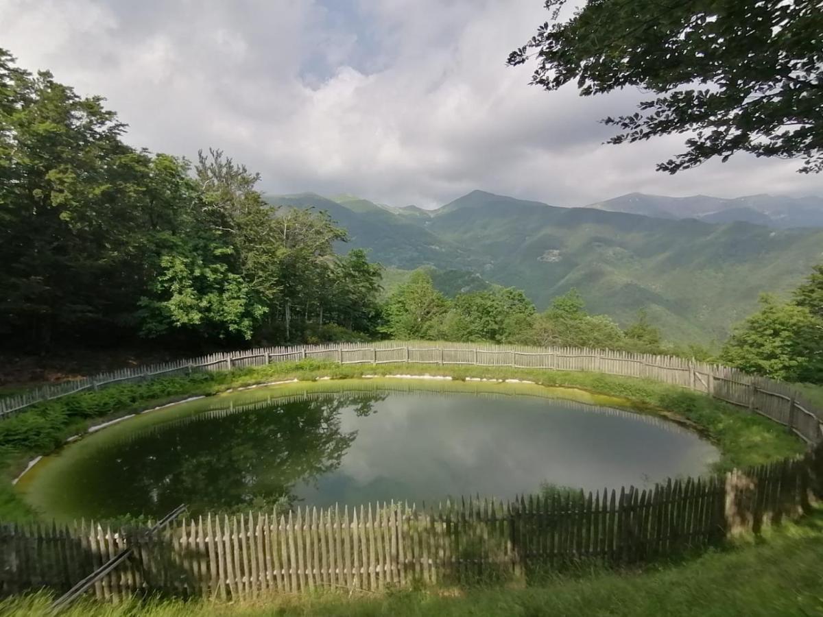 Holiday home Parco Colle Fobia Barga
